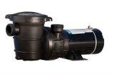 How to choose the best swimming pool pump?